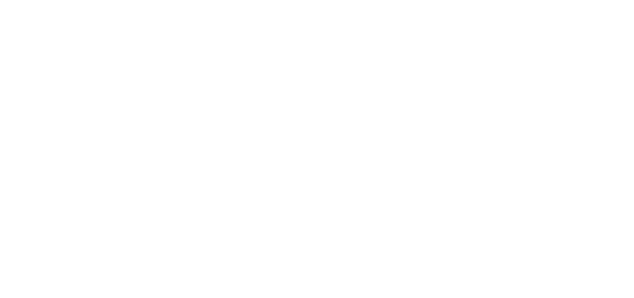 MAGIVA Logo